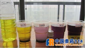 烈酒甜味背后 如何科學(xué)判斷脫霉劑處理霉菌毒素的能力？